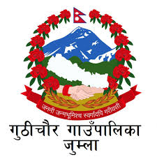 Local Government Logo